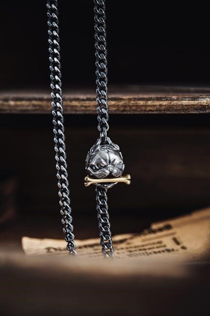 drz400 chain cam guide touching chain